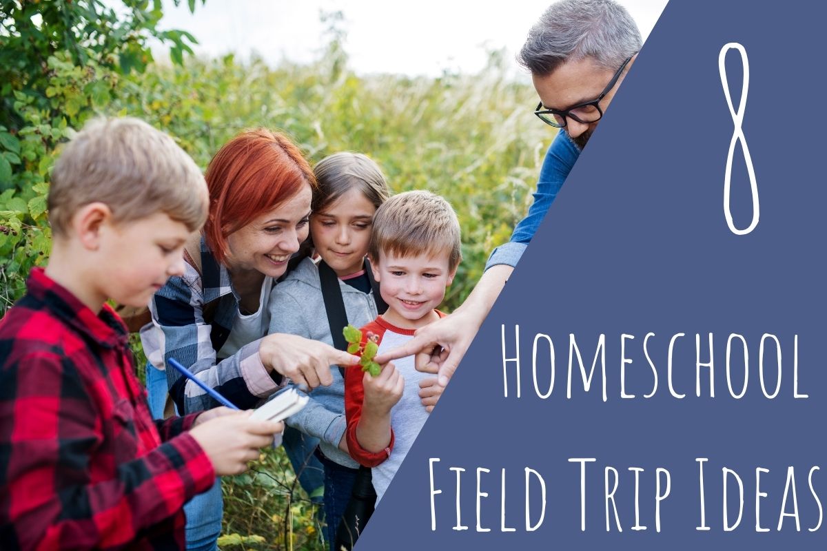 8 Best Homeschool Field Trip Ideas in 2021 - A Tutor